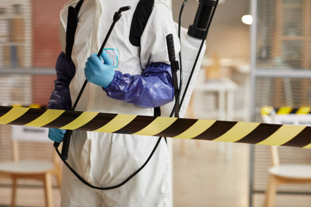 Professional Sewage Cleanup technician working in Alton, NH